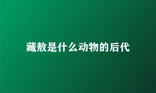 藏敖是什么动物的后代